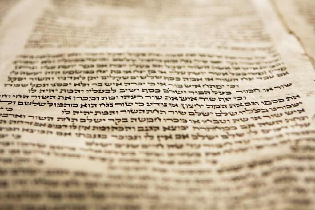 A part of the Hebrew text fomr a portion of a Torah scroll. This scroll is estimated to be 150 years old and is wrinkled and spotted with age. This view has very tight selective focus on just one line on the page with the foreground and background moving quickly to be out of focus.