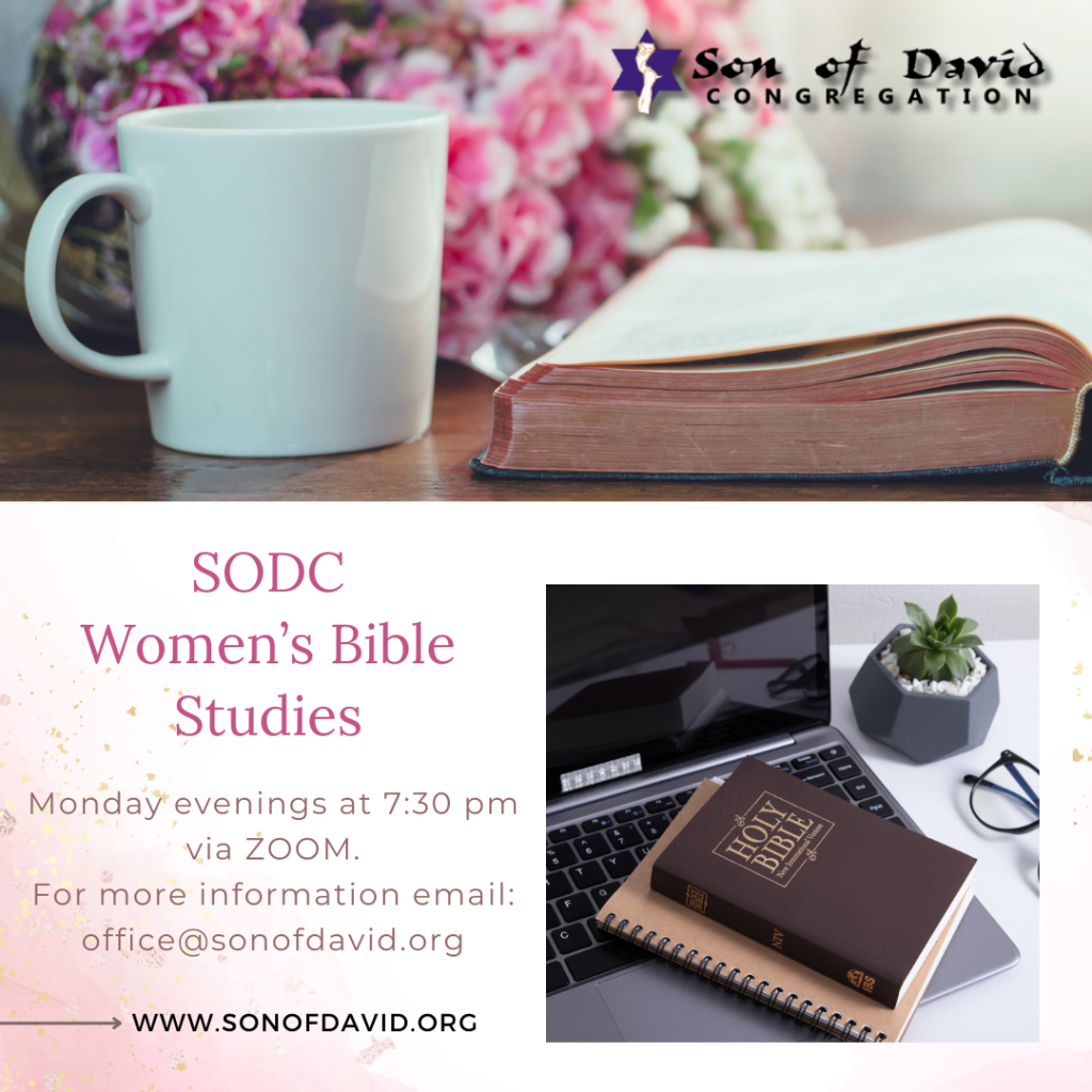 SODC_Womens_Bible_Studies