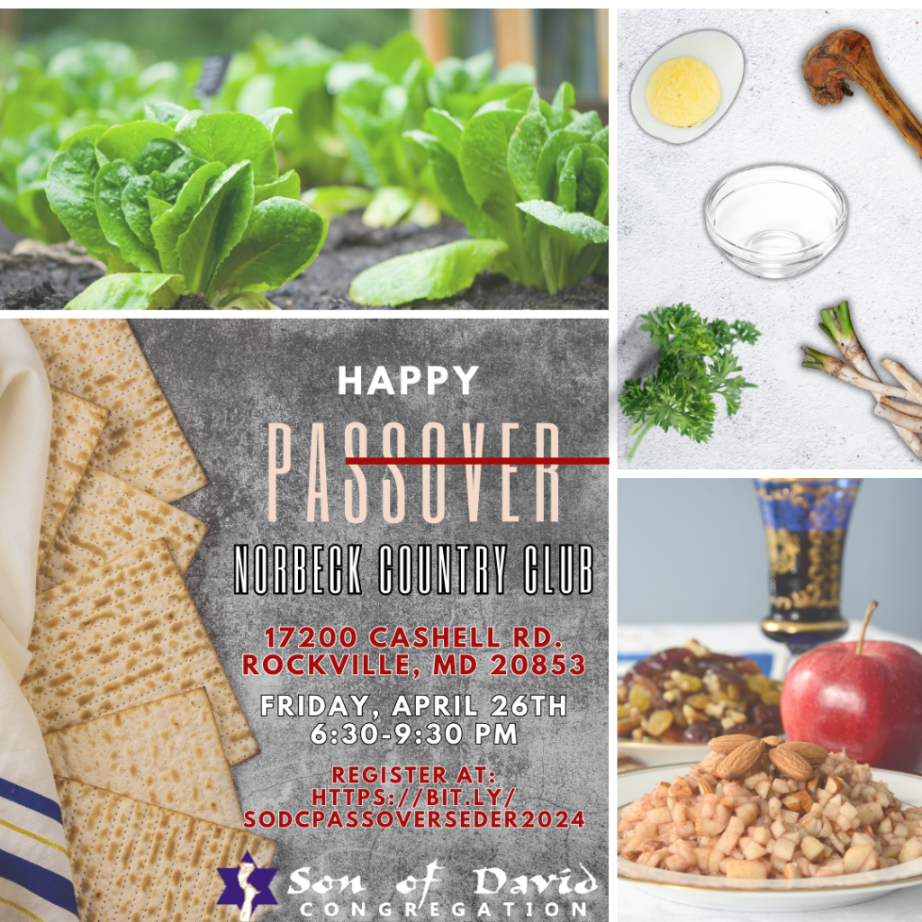 SODC_Passover_Seder_2024_(1)